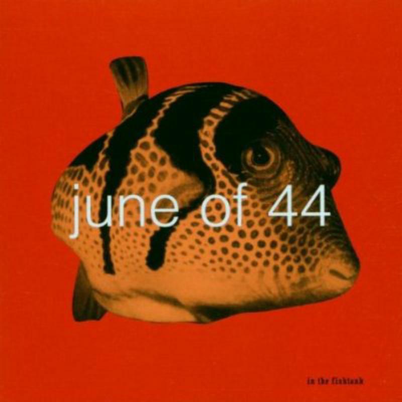 Picture of June Of 44 - In The Fishtank