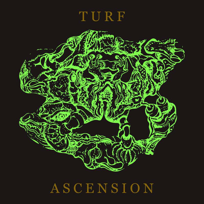 Picture of Bubblemath - Turf Ascension
