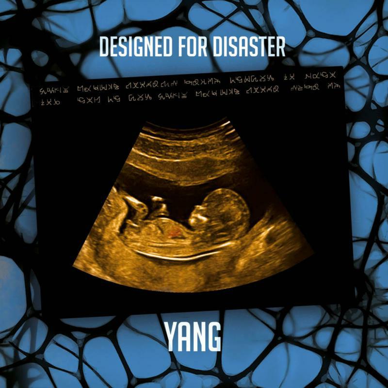 Picture of Yang - Designed For Disaster