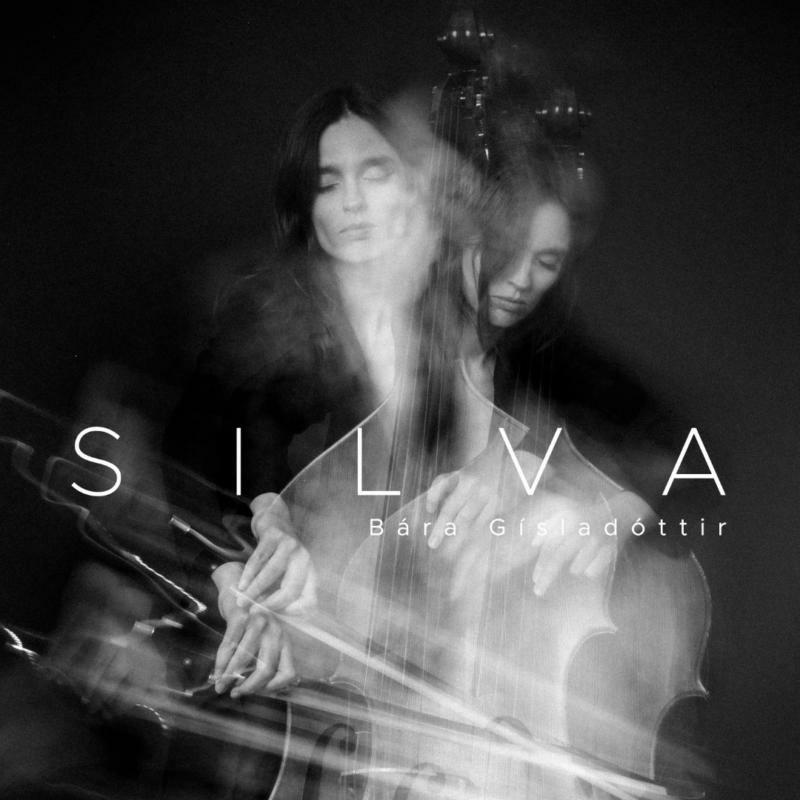 Picture of BARA GISLADOTTIR - Bara Gisladottir: SILVA
