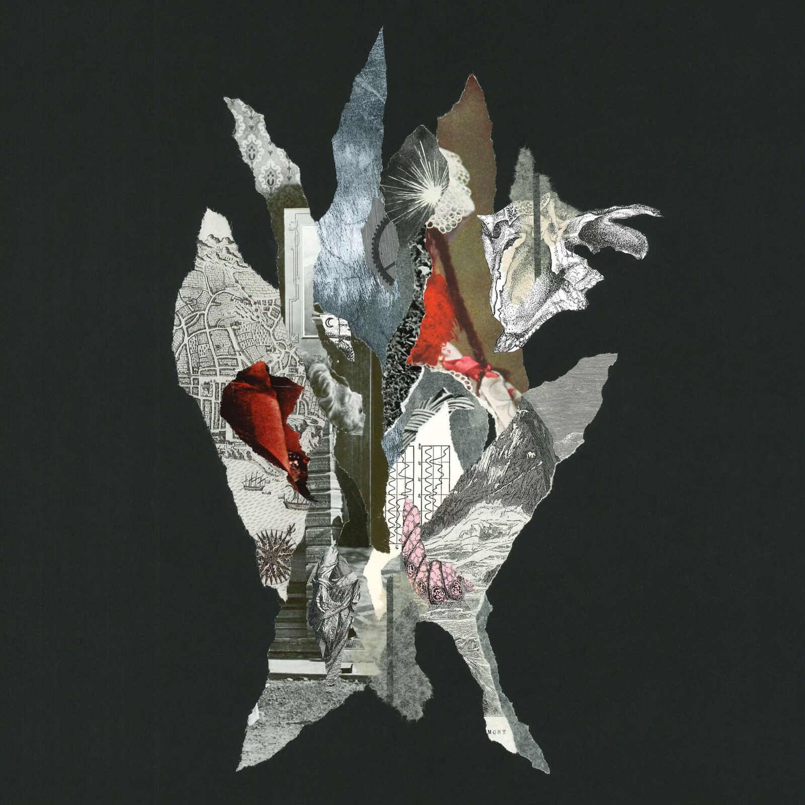 Picture of Alas de Liona - Gravity of Gold