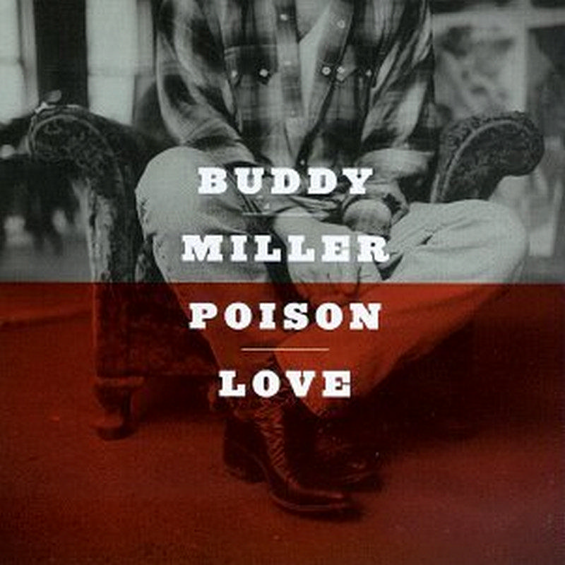 Picture of Buddy Miller - Poison Love