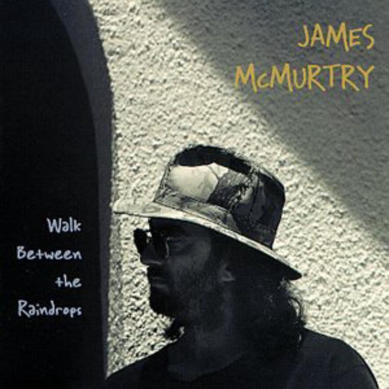 Picture of James McMurtry - Walk Between The Raindrops