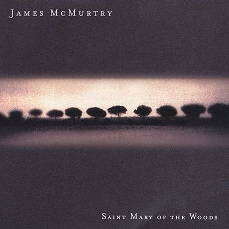 Picture of James McMurtry - Saint Mary Of The Woods