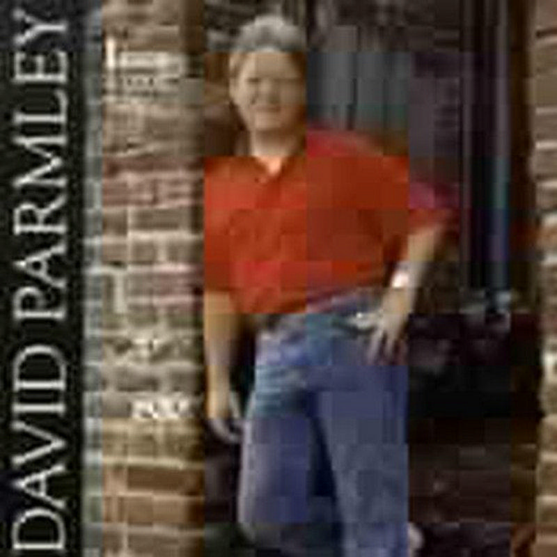 Picture of David Parmley - I Know a Good Thing