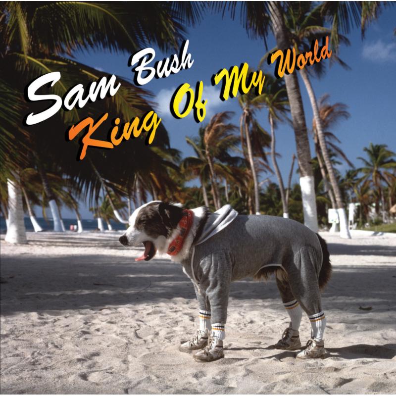 Picture of Sam Bush - King Of My World