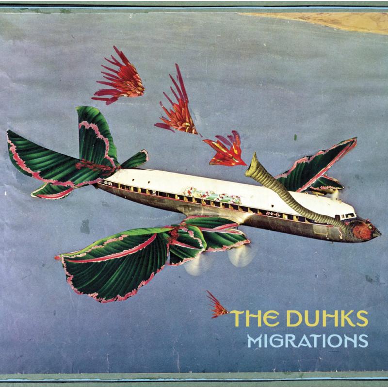 Picture of The Duhks - Migrations