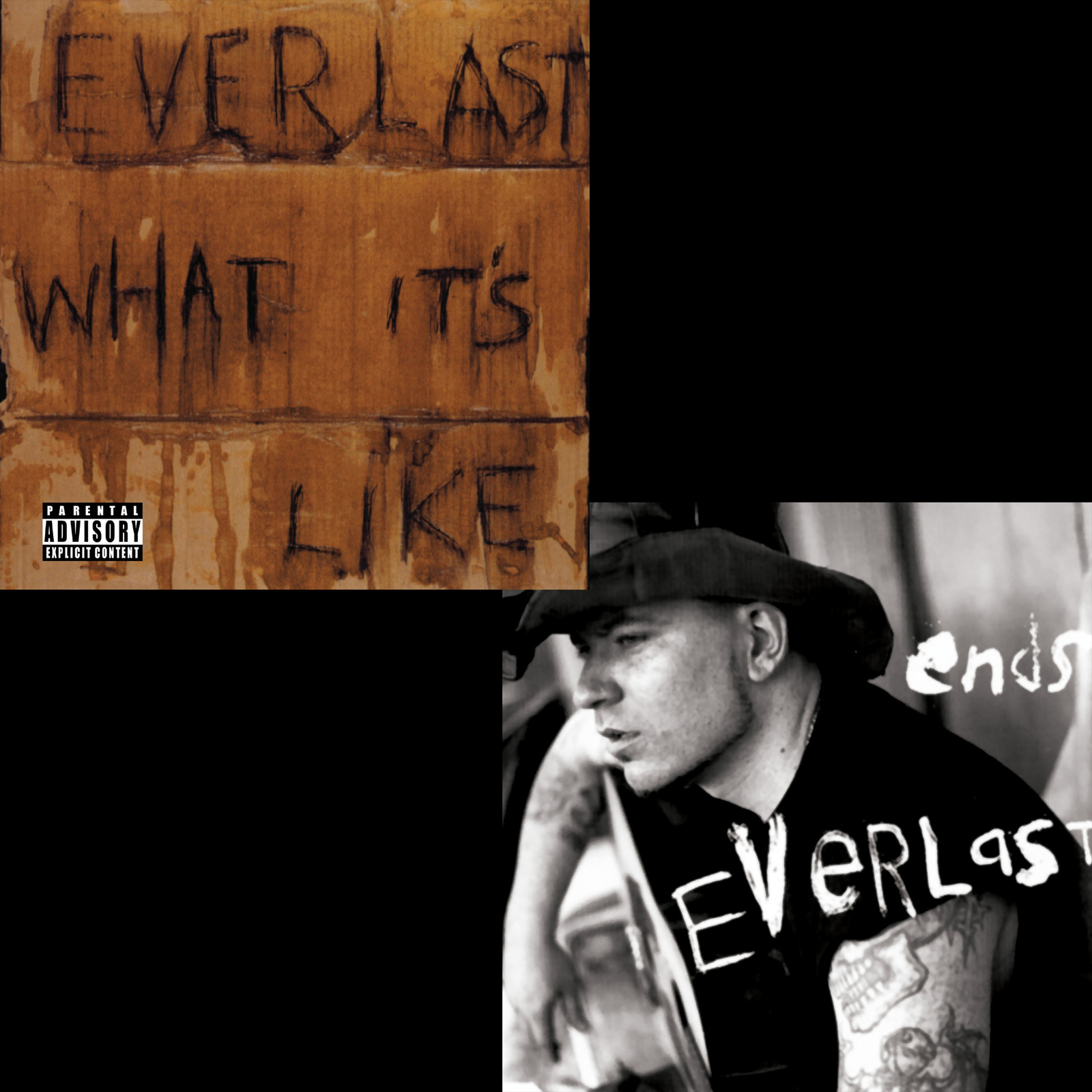 Picture of Everlast - What It's Like/Ends