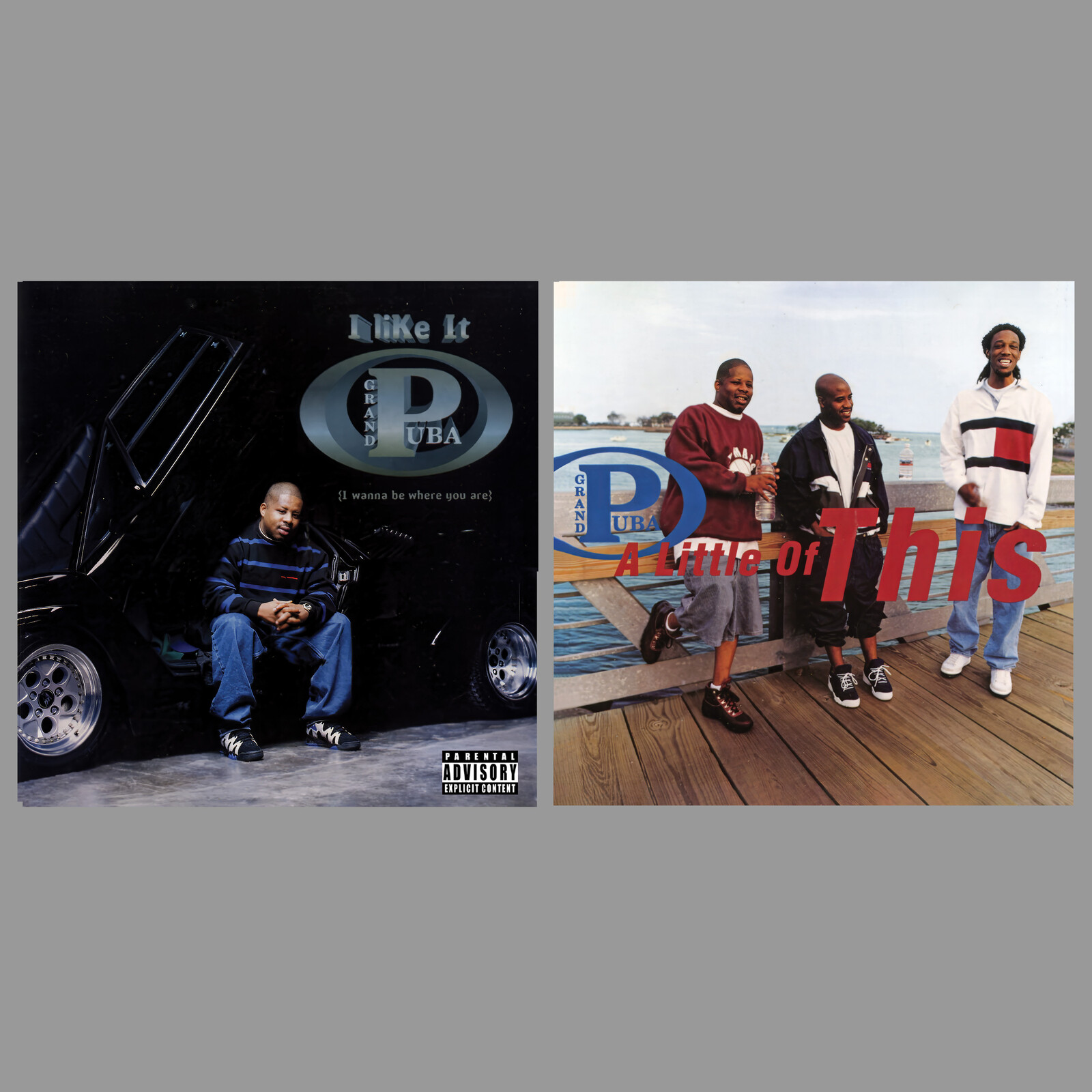 Picture of Grand Puba - I Like It (I Wanna Be Where You Are) / A Little of This