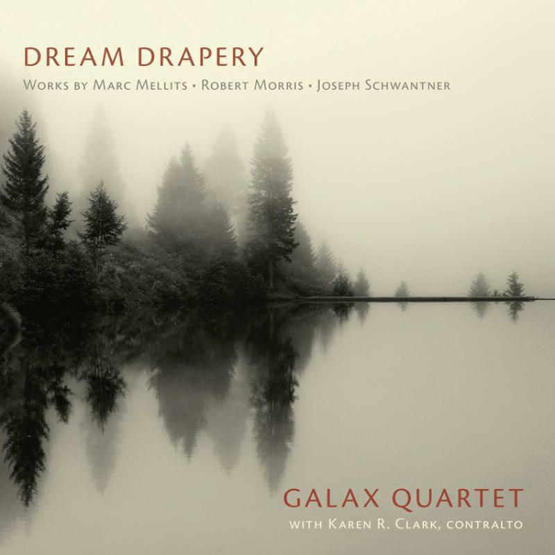 Picture of Galax Quartet/Karen R Clark - Dream Drapery: Galax Quartet