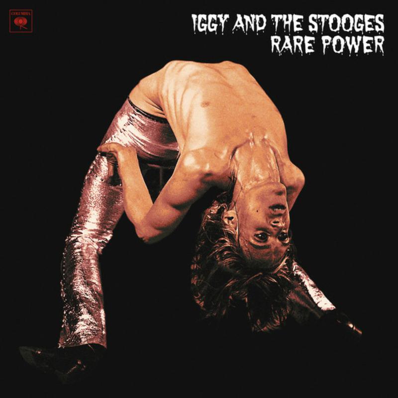 Picture of Iggy & The Stooges - Rare Power