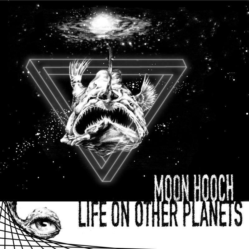 Picture of Moon Hooch - Life On Other Planets