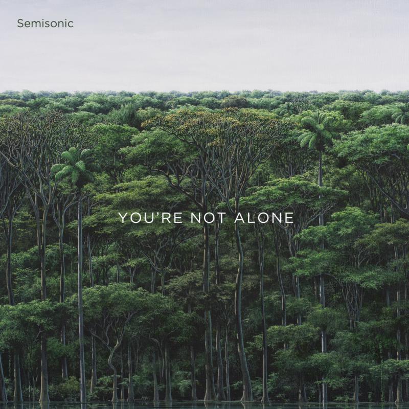 Picture of Semisonic - You're Not Alone EP (12)