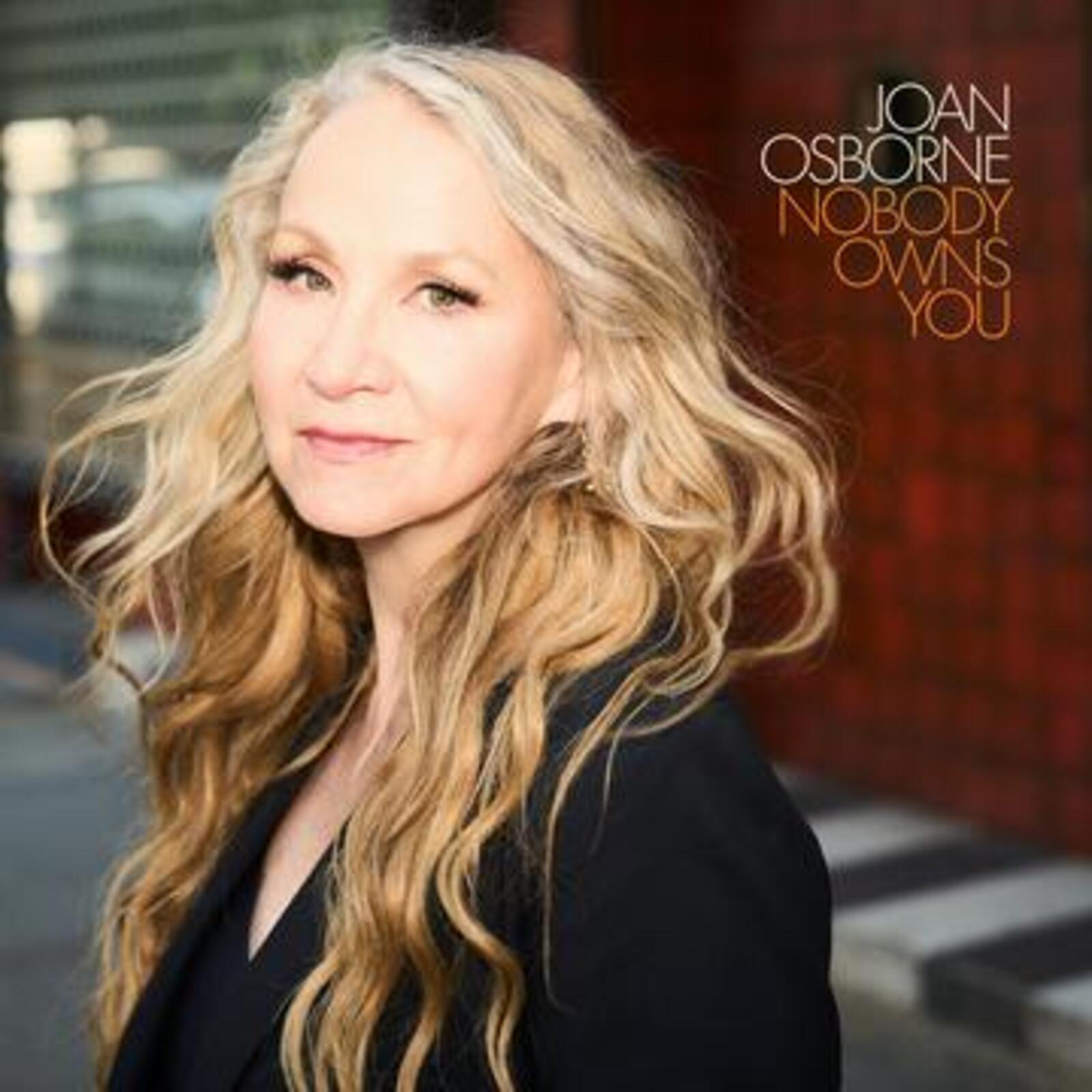 Picture of Joan Osborne - Nobody Owns You