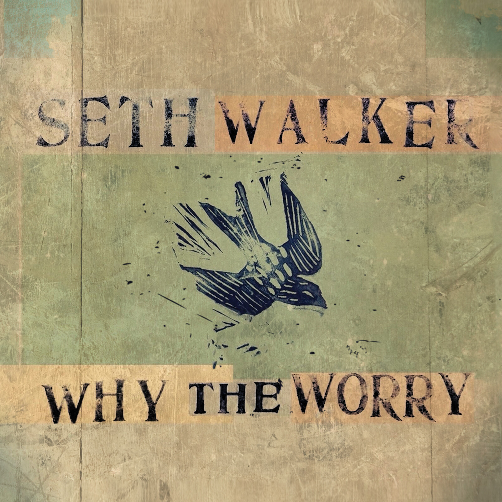 Picture of Seth Walker - Why The Worry