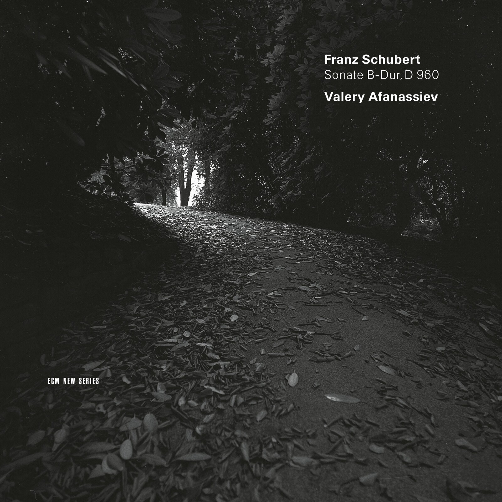 Picture of Valery Afanassiev - Sonate B-Dur Op. Posth. D-960