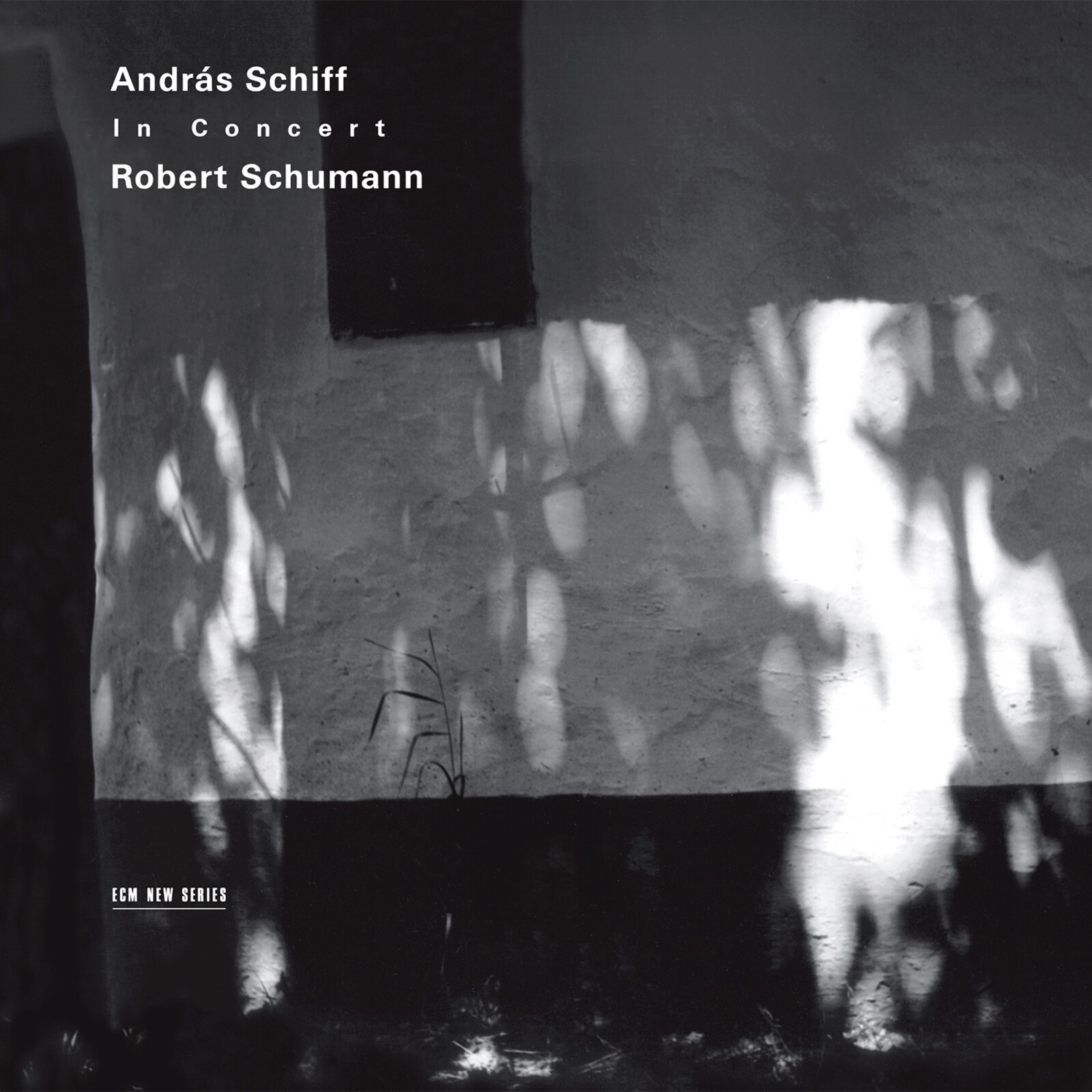 Picture of Andras Schiff - Andras Schiff In Concert: Robert Schumann
