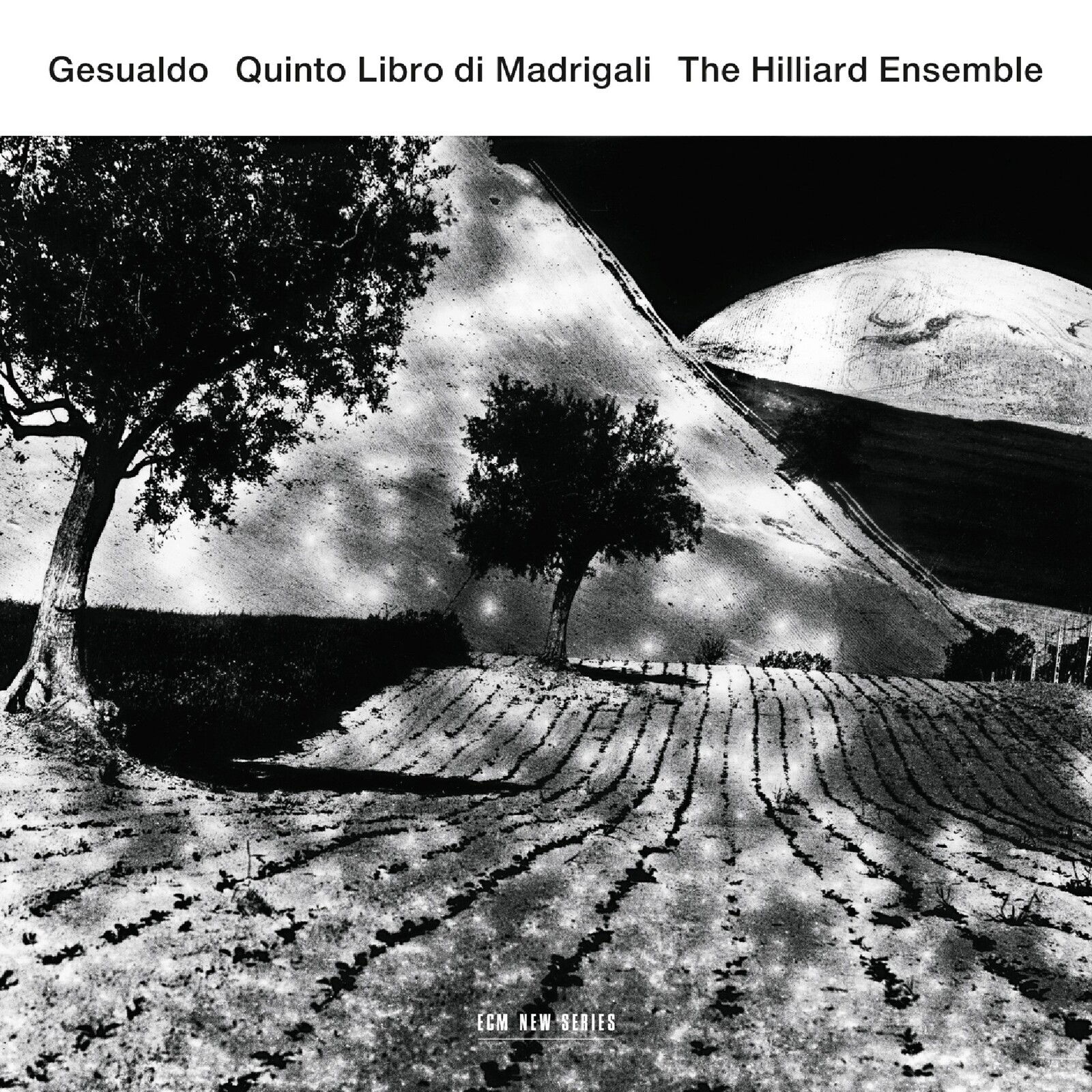 Picture of The Hilliard Ensemble - Gesualdo: Quinto Libro Di Madrigali