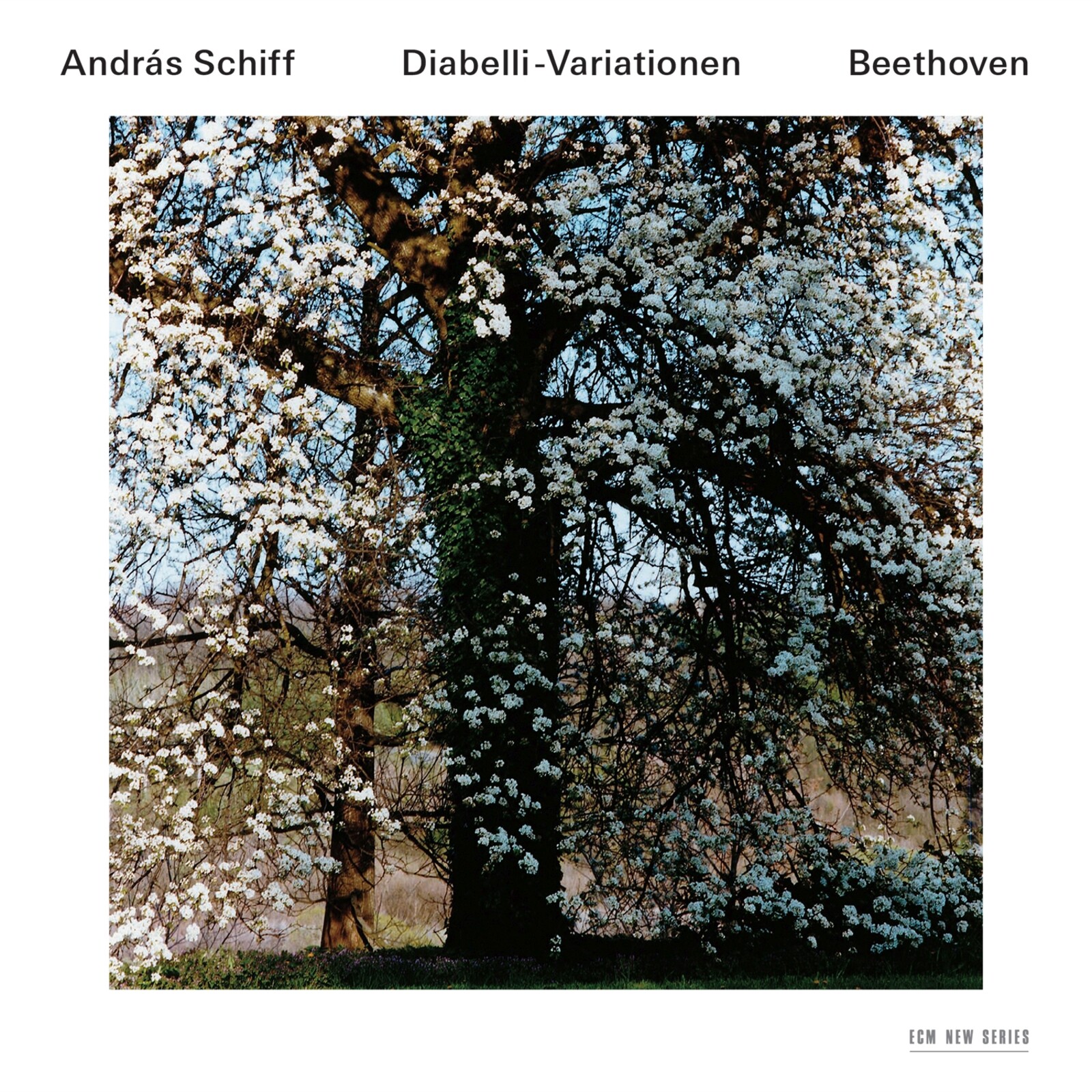 Picture of Andras Schiff - Beethoven: Diabelli-Variationen