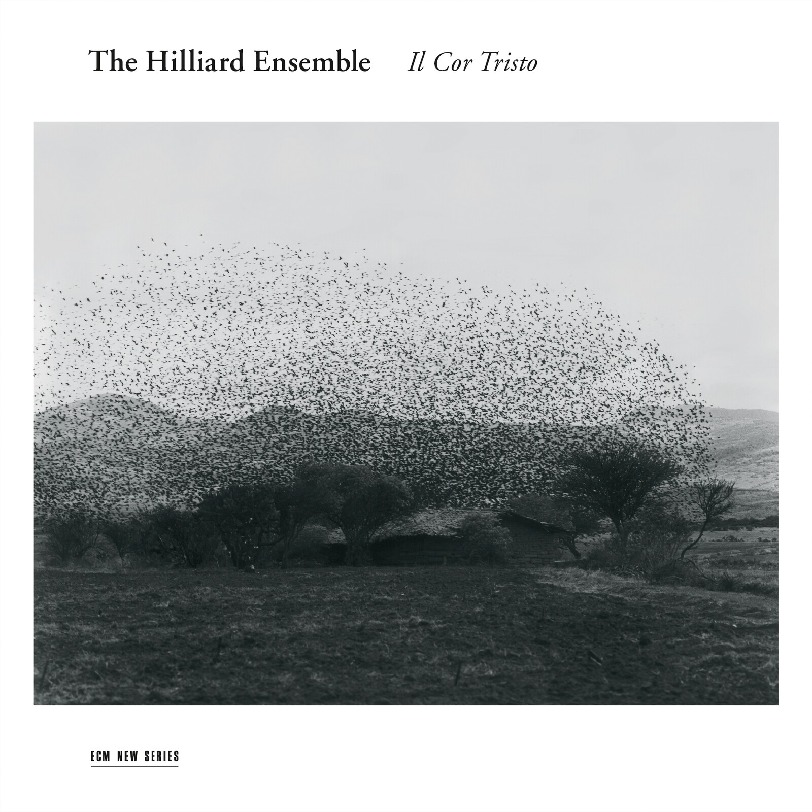Picture of The Hilliard Ensemble - Il Cor Tristo - Roger Marsh, Bernardo Pisano & Jacques Arcadelt