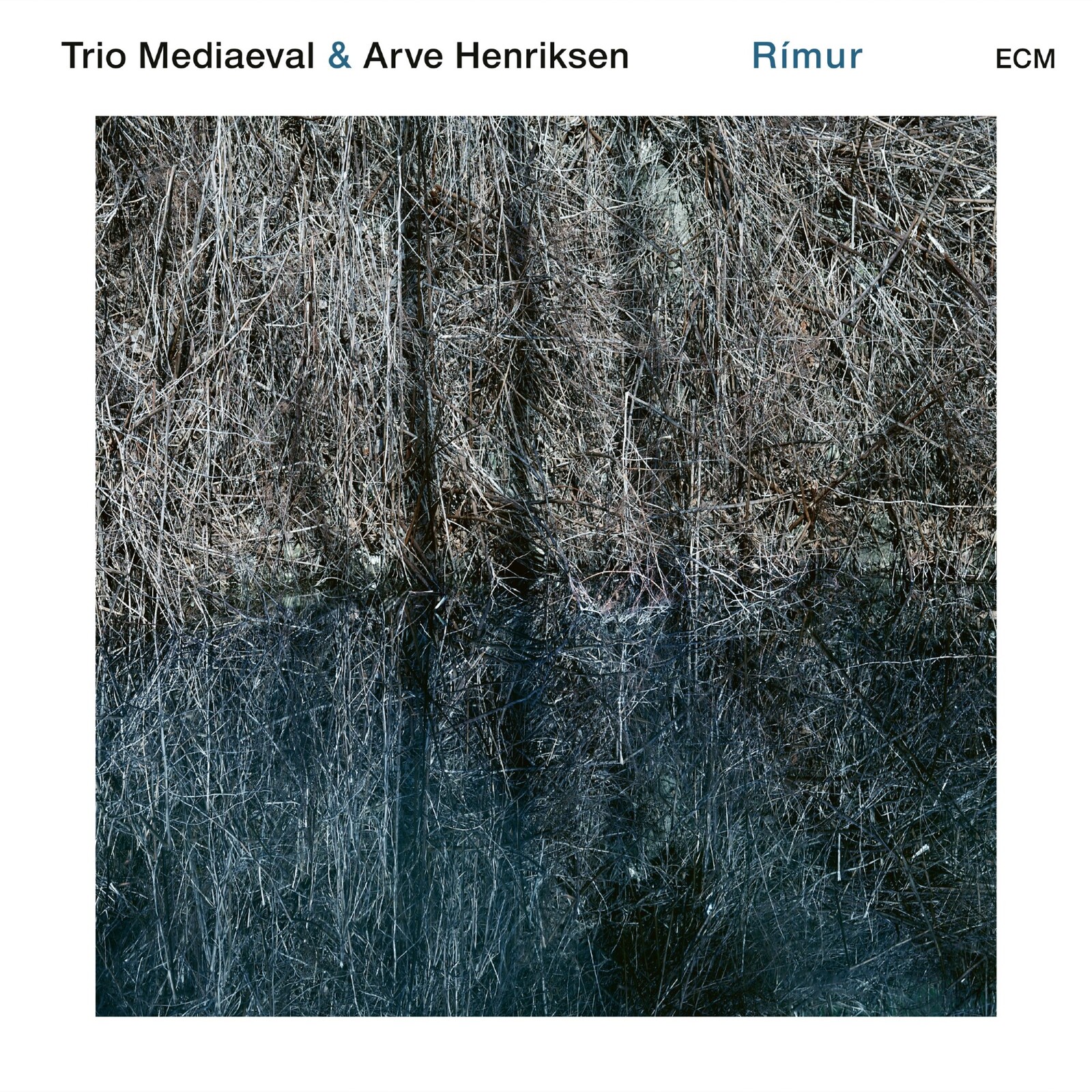 Picture of Trio Mediaeval & Arve Henriksen - Rimur