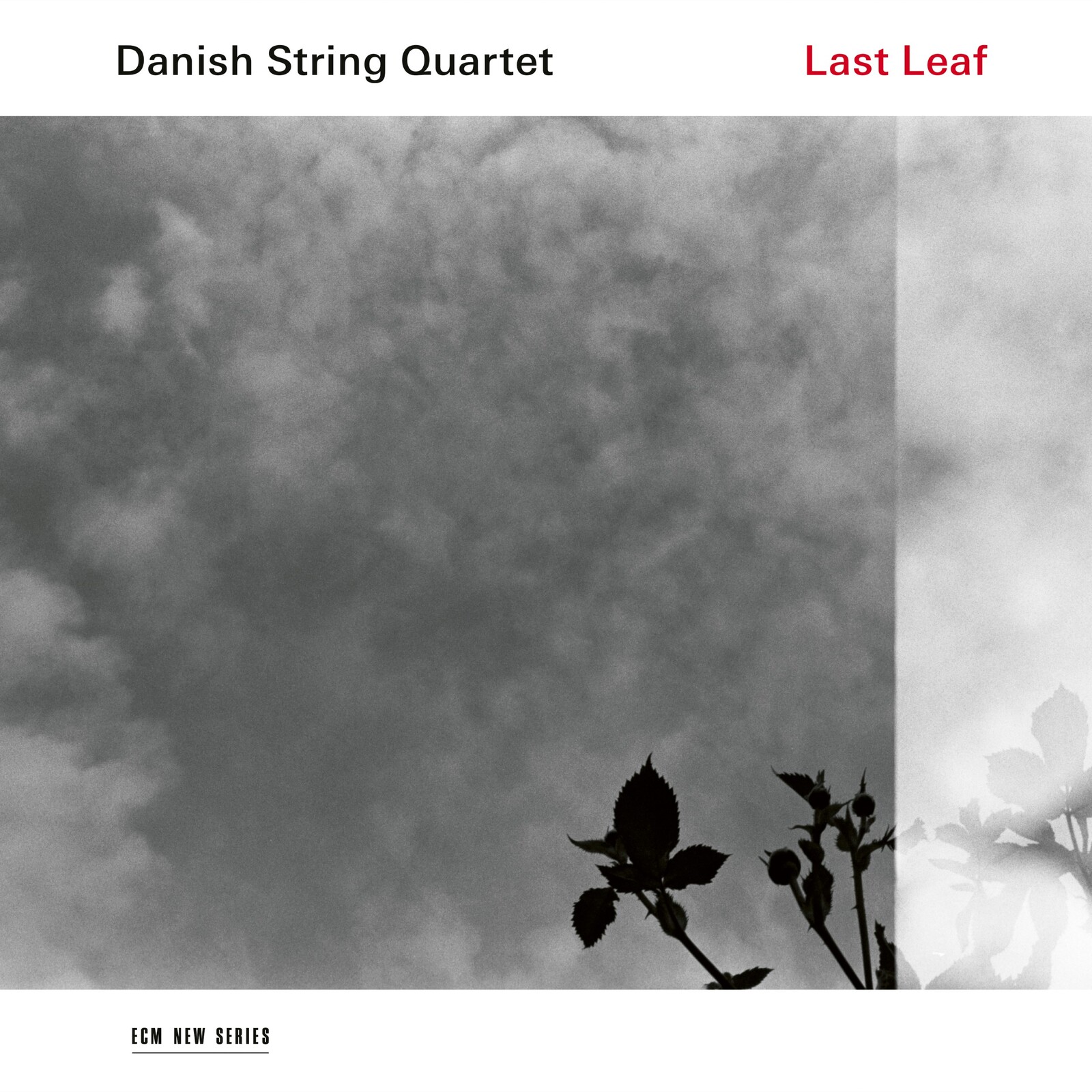 Picture of Danish String Quartet - Last Leaf