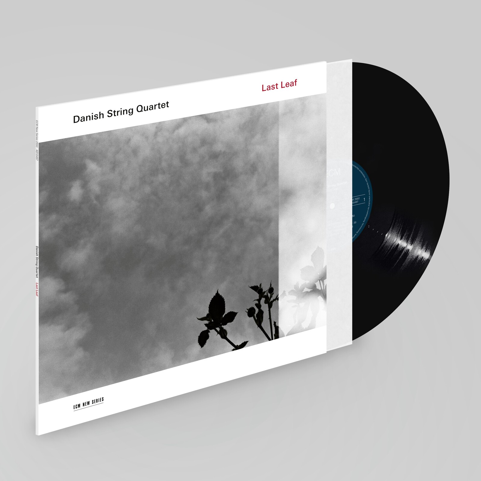 Picture of Danish String Quartet - Last Leaf