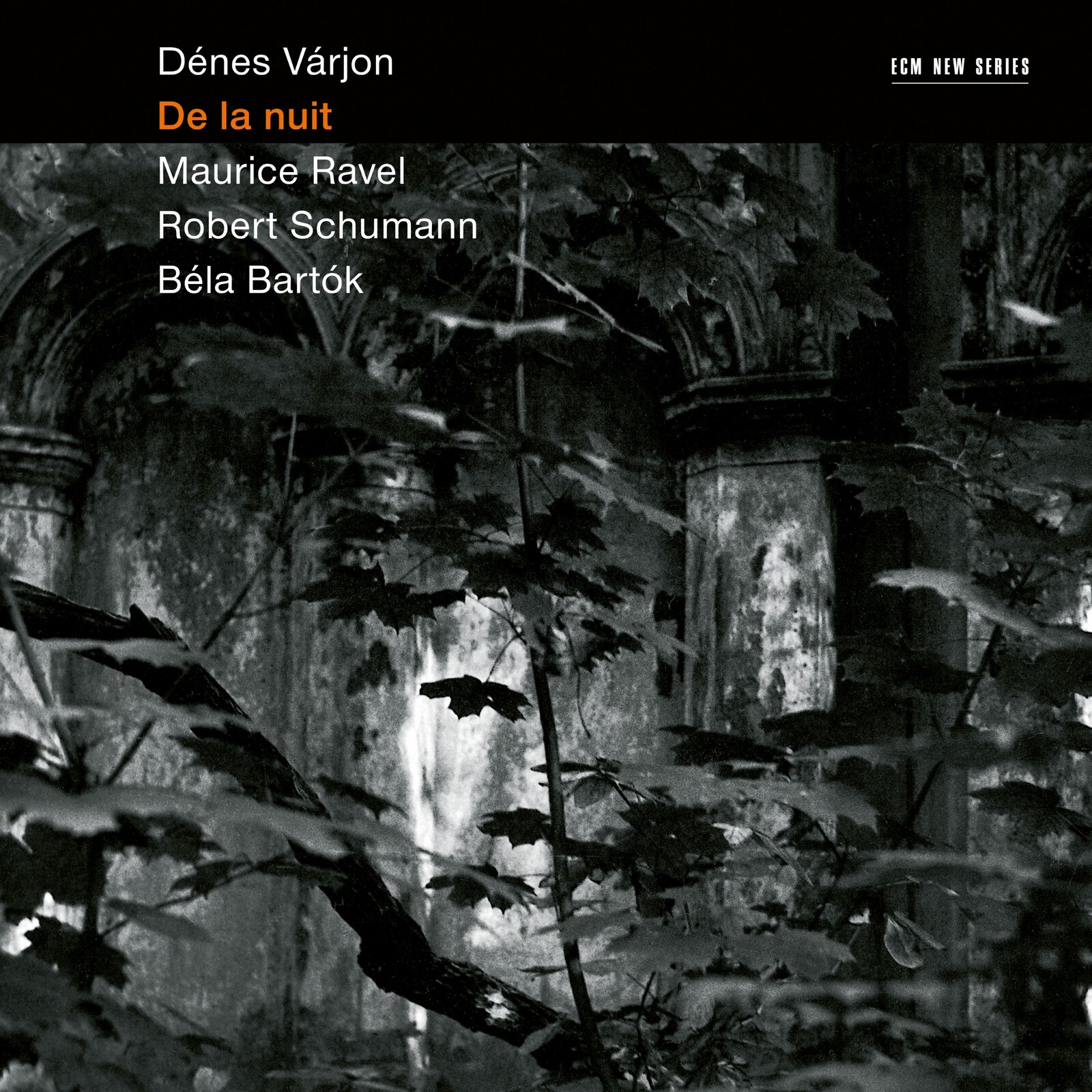 Picture of Denes Varjon - De La Nuit: Schumann, Ravel, Bartok