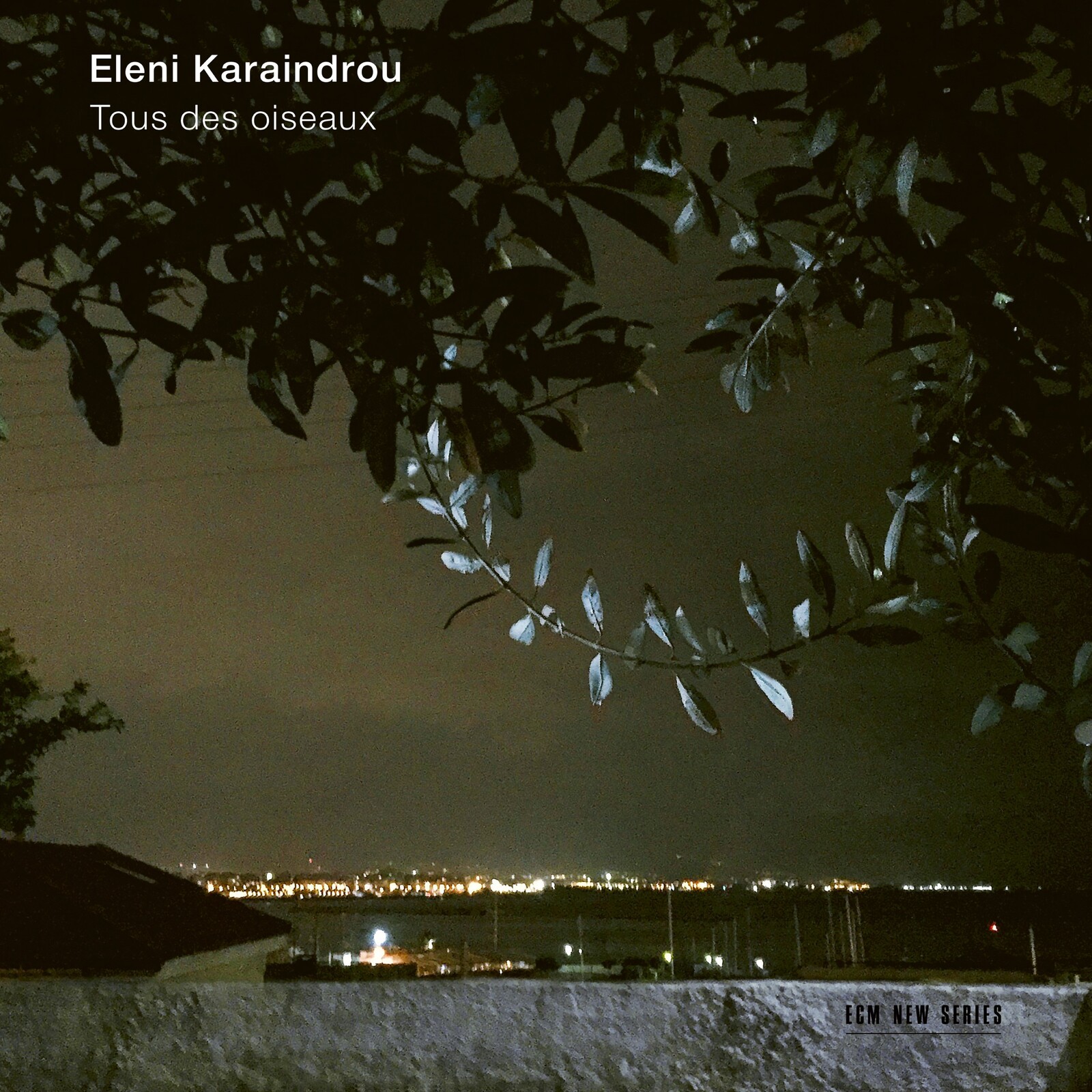 Picture of Eleni Karaindrou - Tous Des Oiseaux