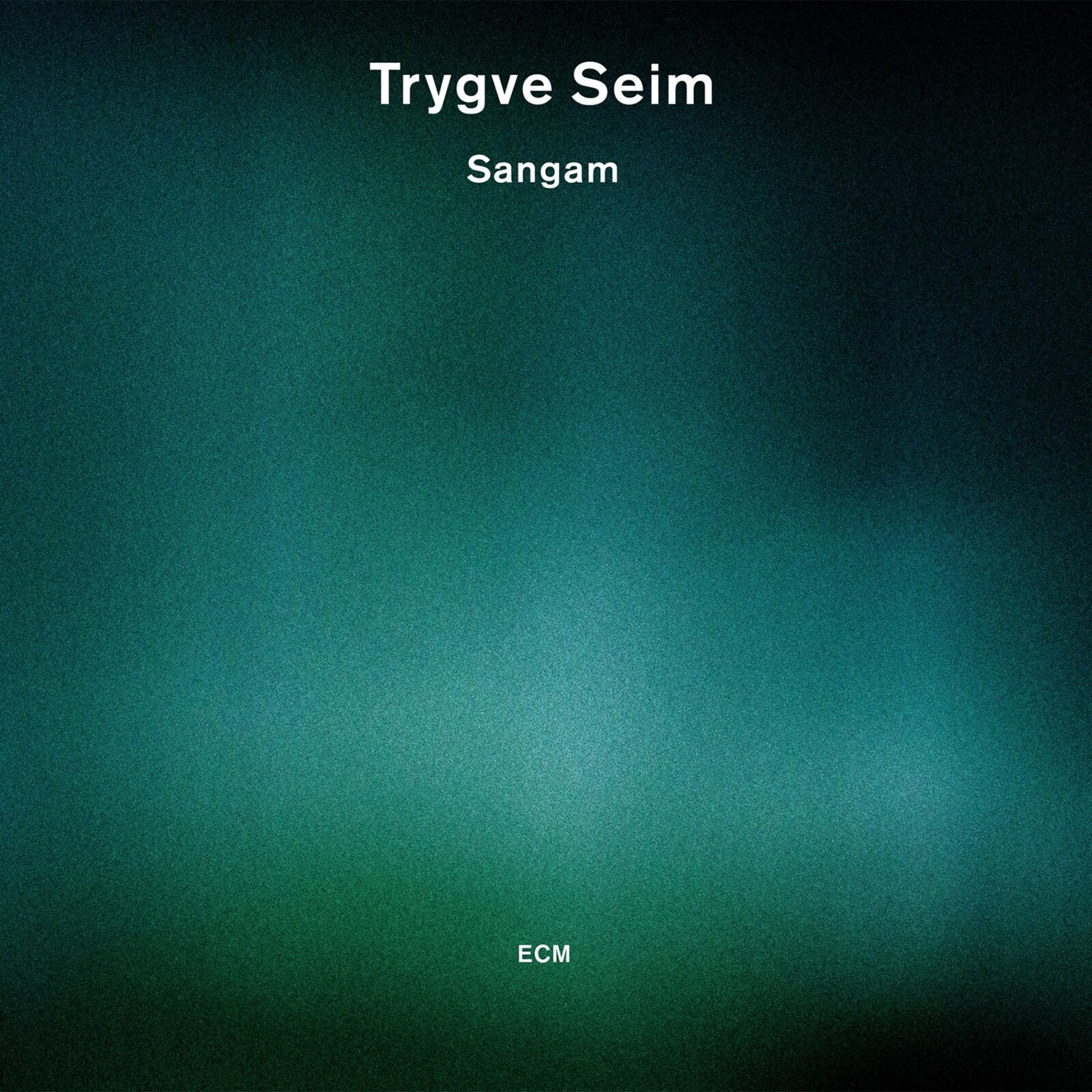 Picture of Trygve Seim - Sangam