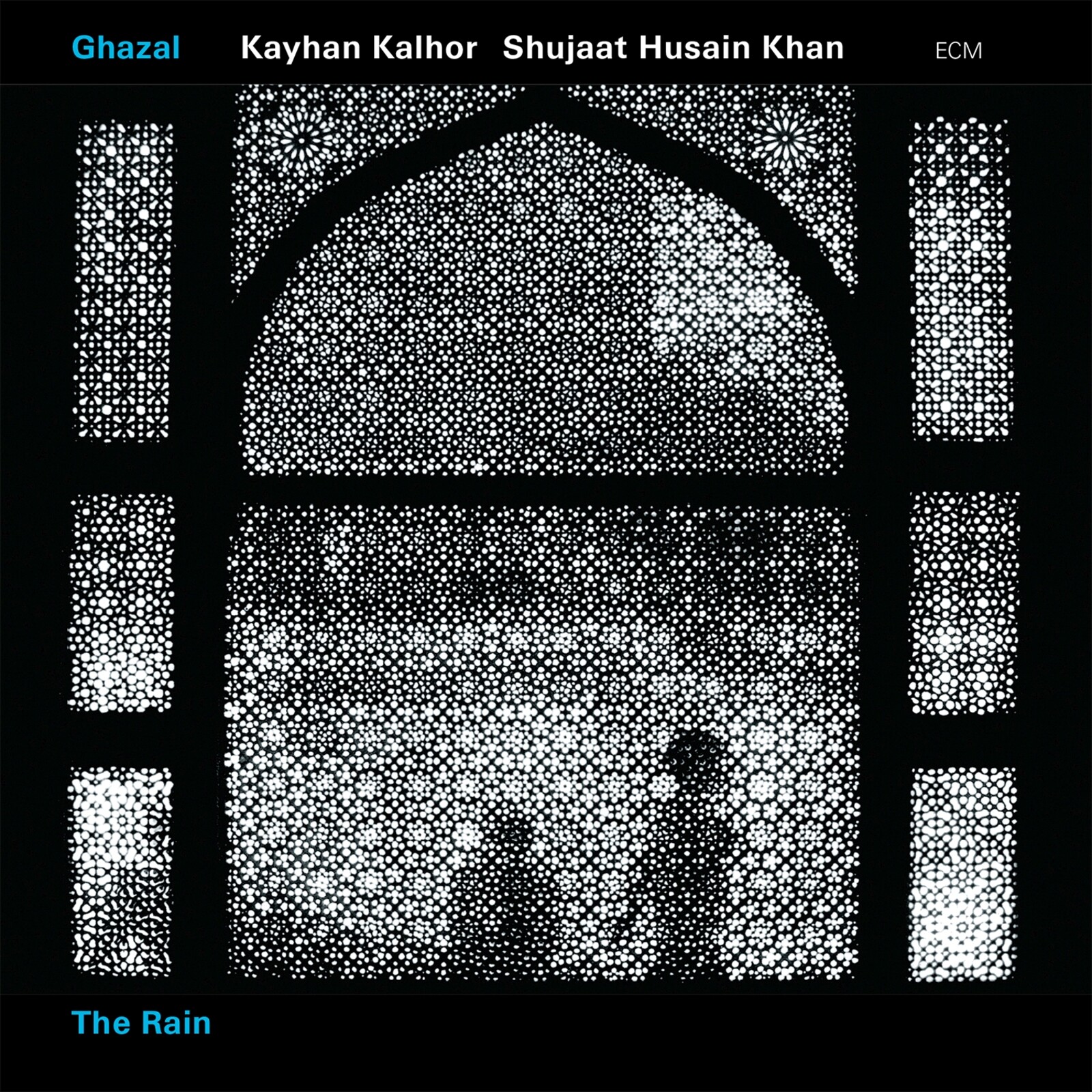 Picture of Ghazal - The Rain