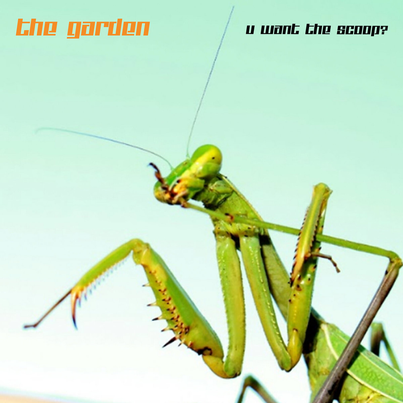 Picture of The Garden - U Want the Scoop?