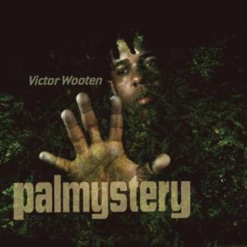 Picture of Victor Wooten - Palmystery