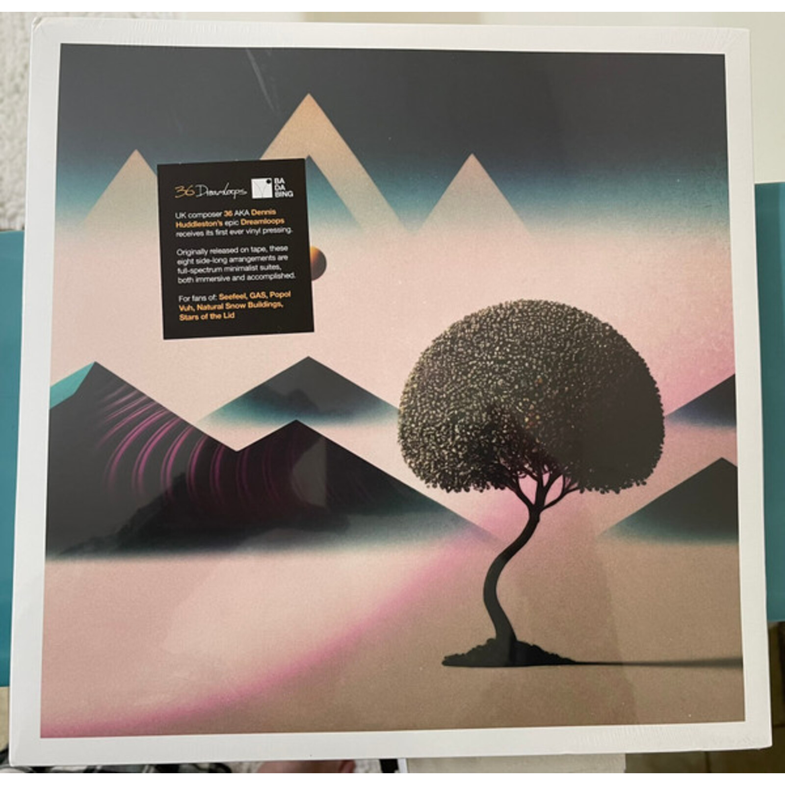 Picture of 36 - DREAMLOOPS