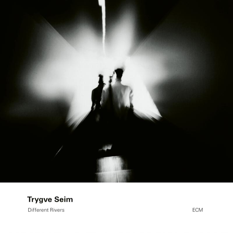Picture of Trygve Seim - Different Rivers