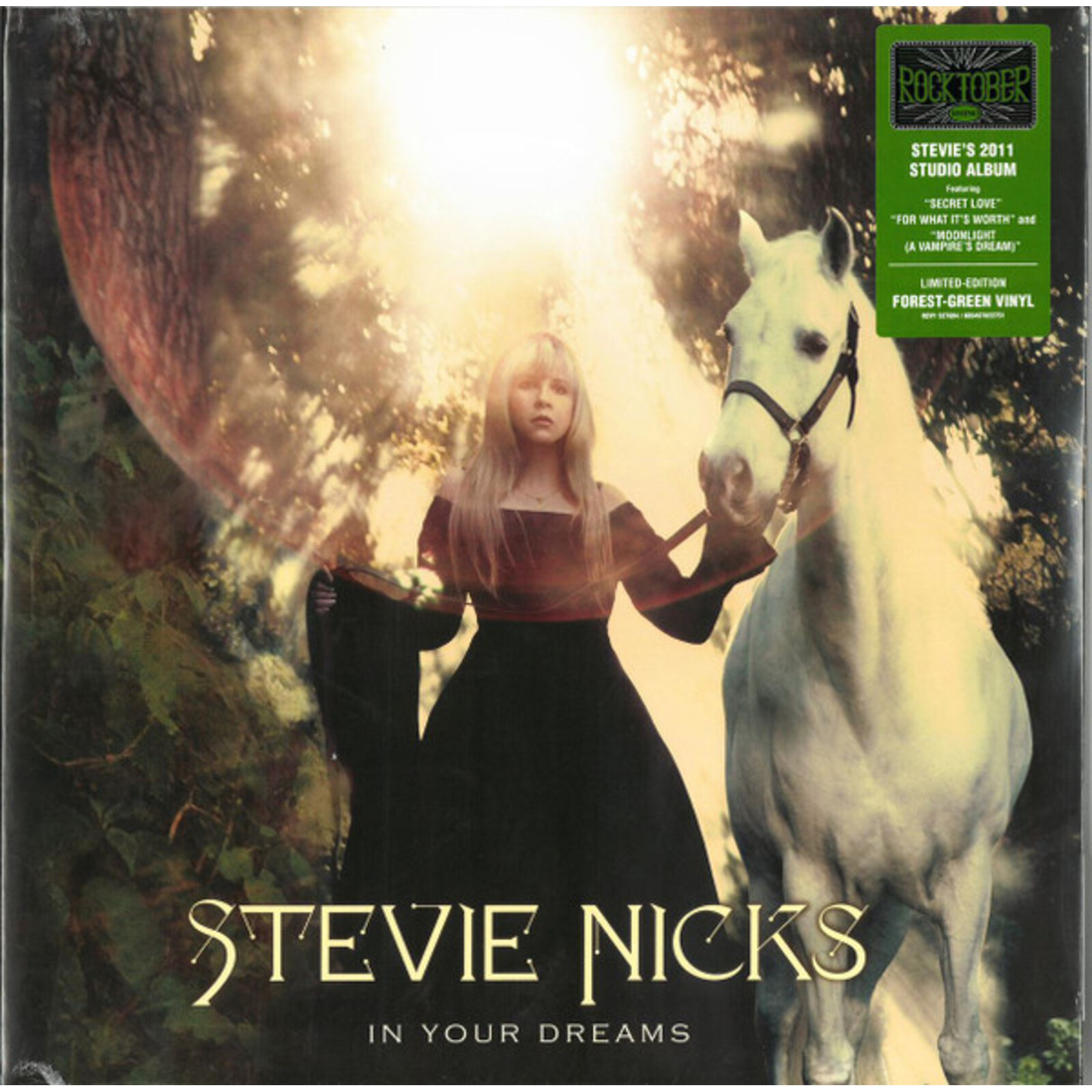 Picture of Stevie Nicks - In Your Dreams