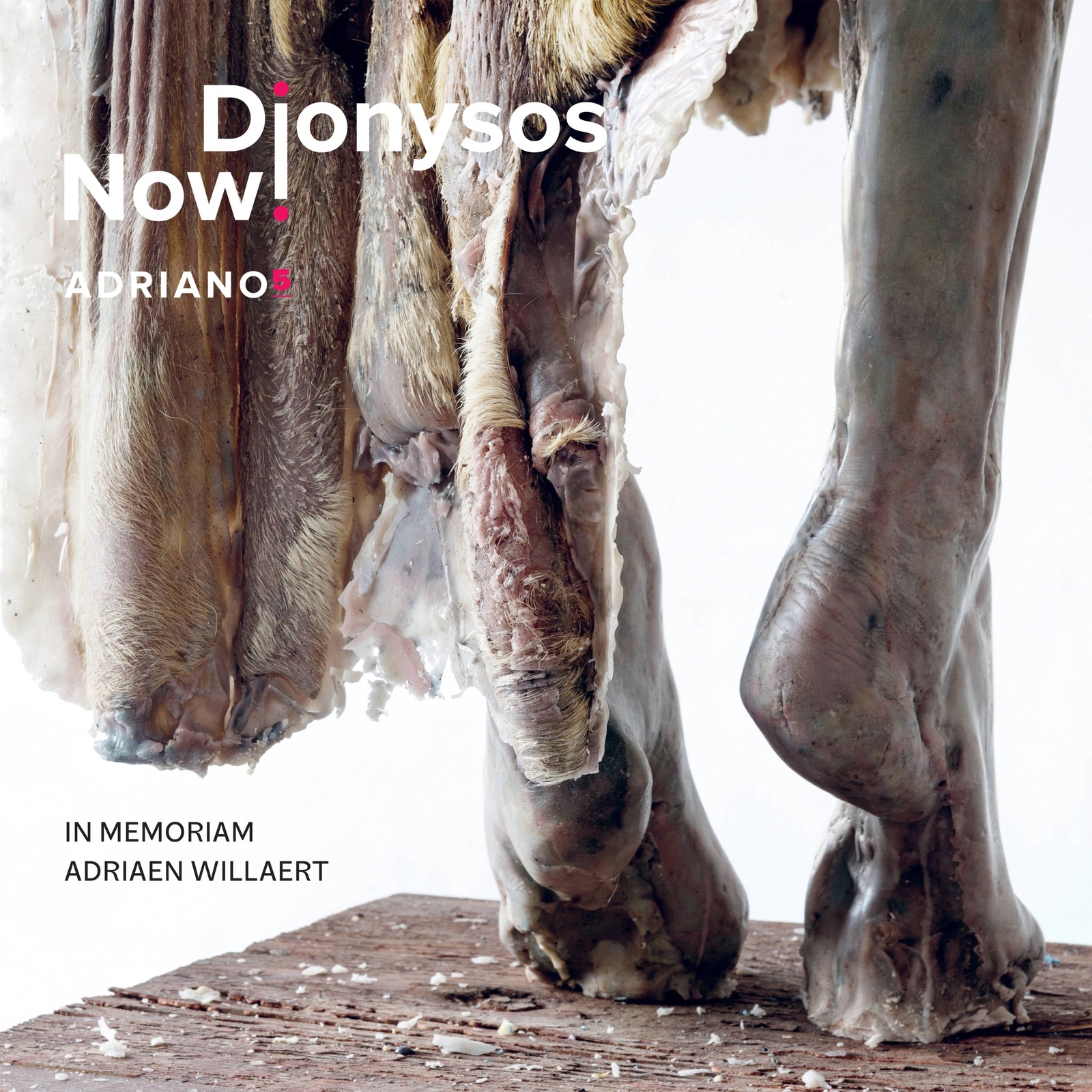Picture of Dionysos Now! - Adriano 5: In Memoriam Adriaen Willaert (ca. 1490-1562)