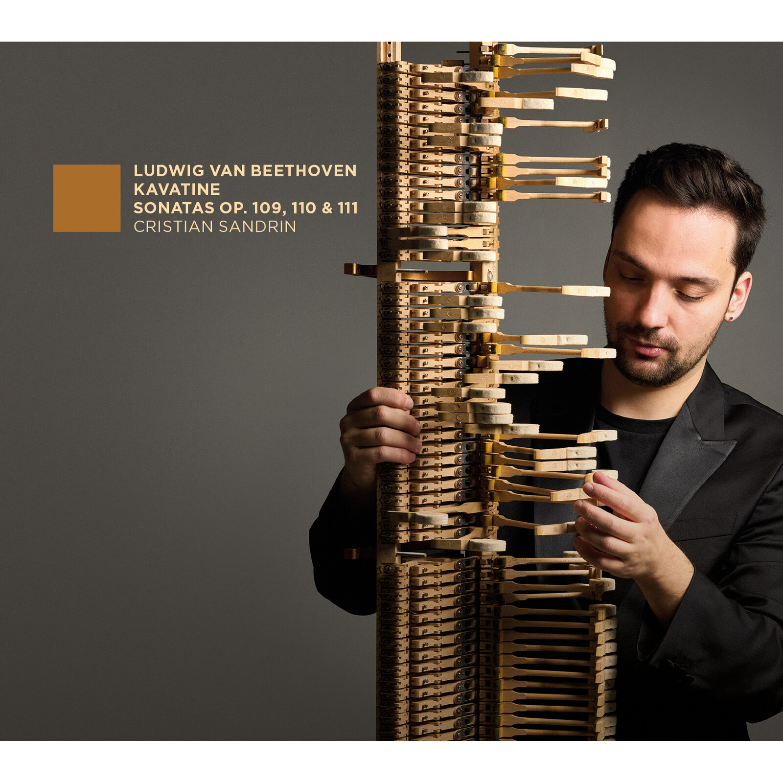 Picture of Cristian Sandrin - Beethoven: Kavatine, Sonates Op. 109, 110 & 111