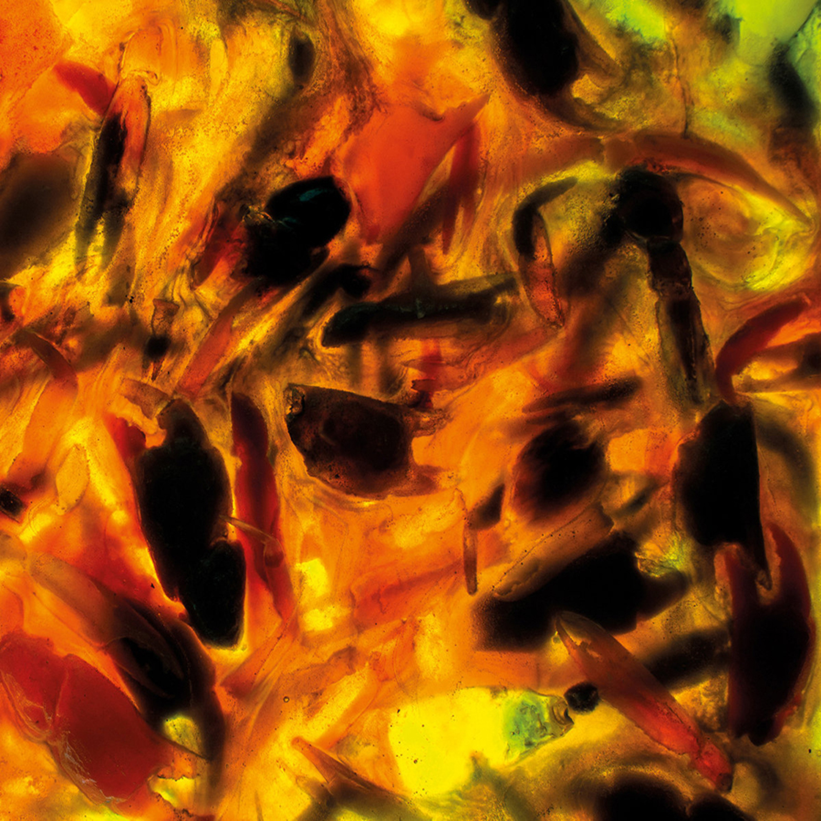 Picture of Plague Rider - Intensities