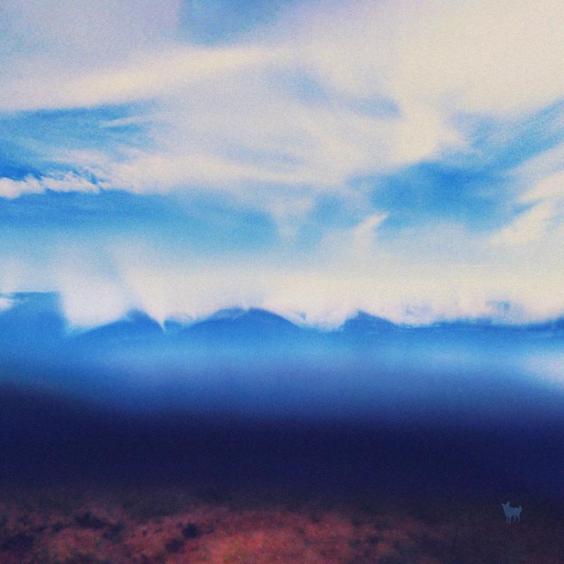 Picture of Jenny Sturgeon - The Living Mountain