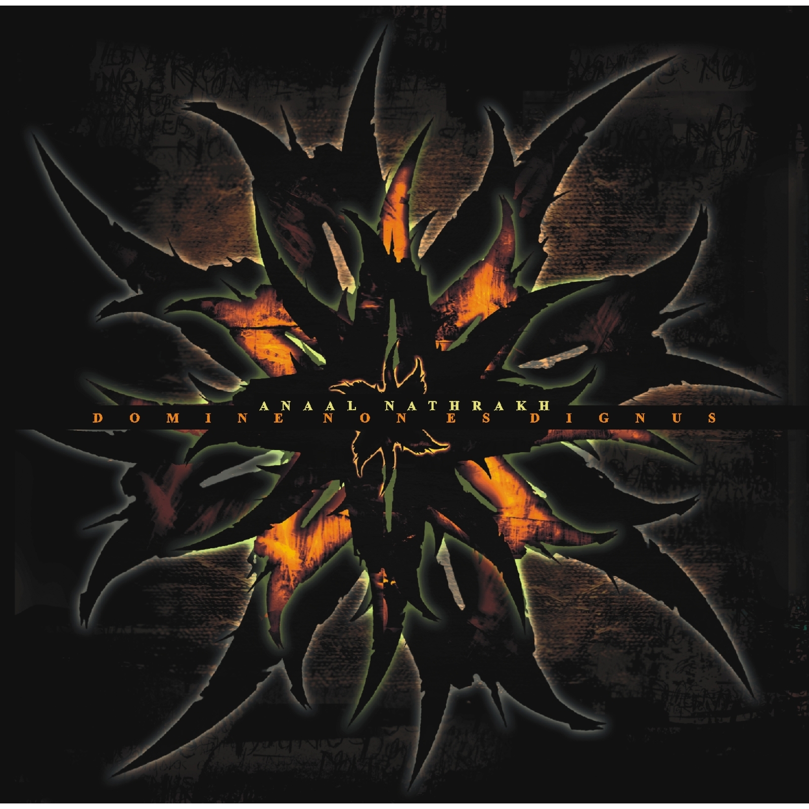 Picture of Anaal Nathrakh - Domine Non Es Dignus