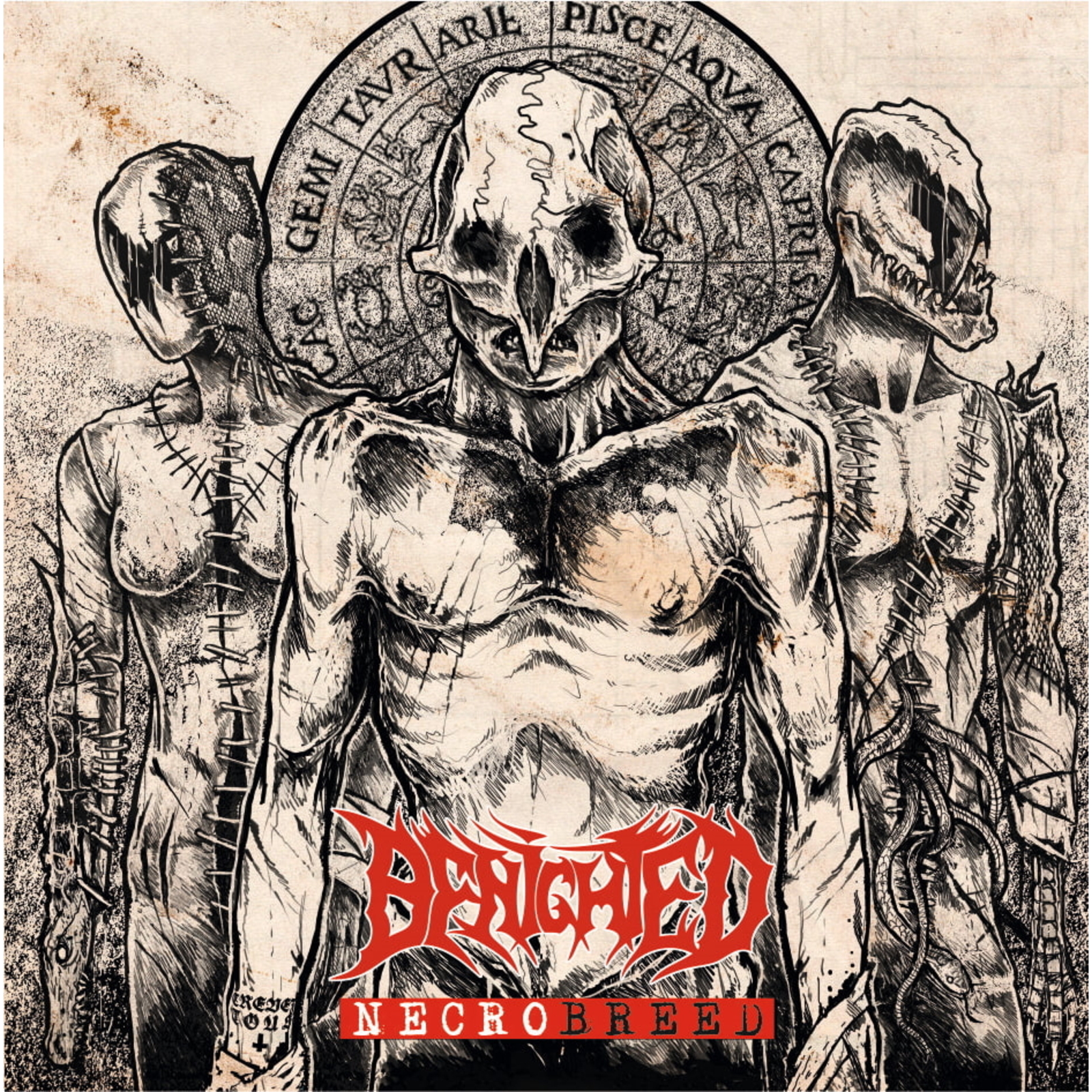 Picture of Benighted - Necrobreed