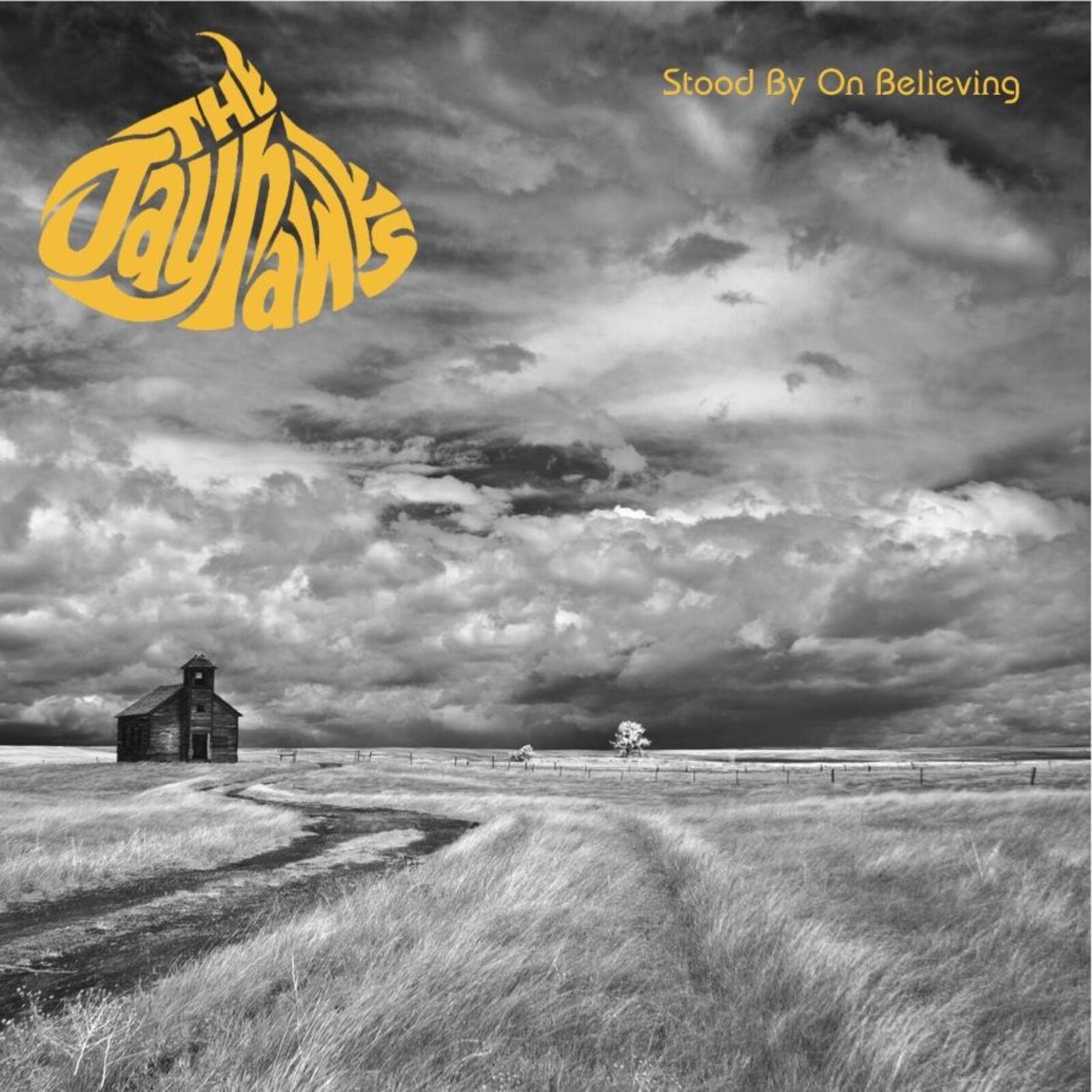 Picture of The Jayhawks - Stood By On Believing - The Classic Broadcasts 89-95