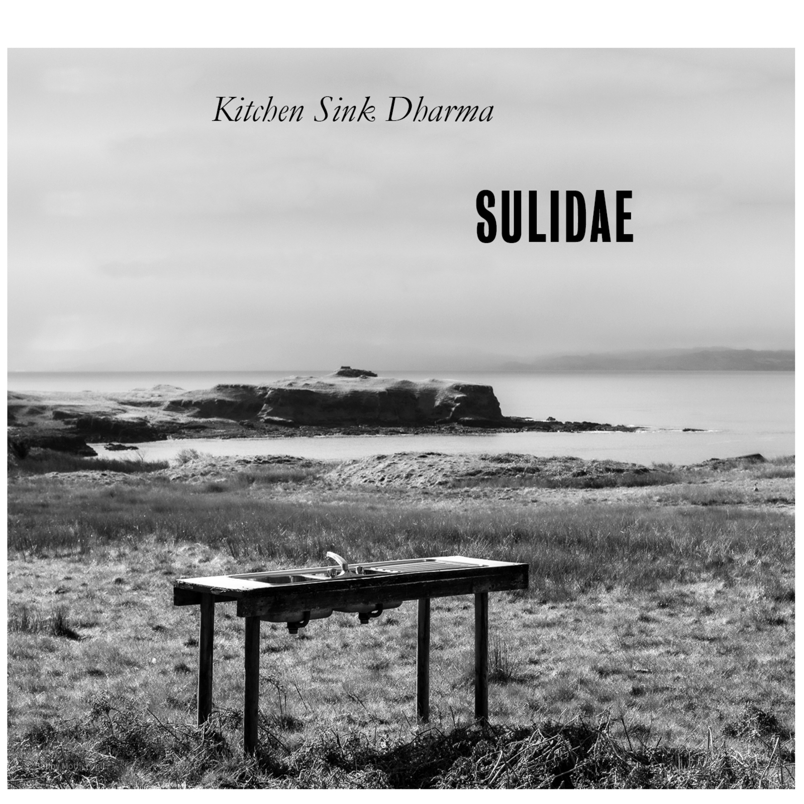 Picture of Sulidae - Kitchen Sink Dharma