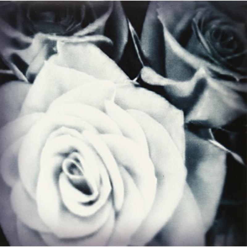 Picture of Mountain Goats - All Eternals Deck