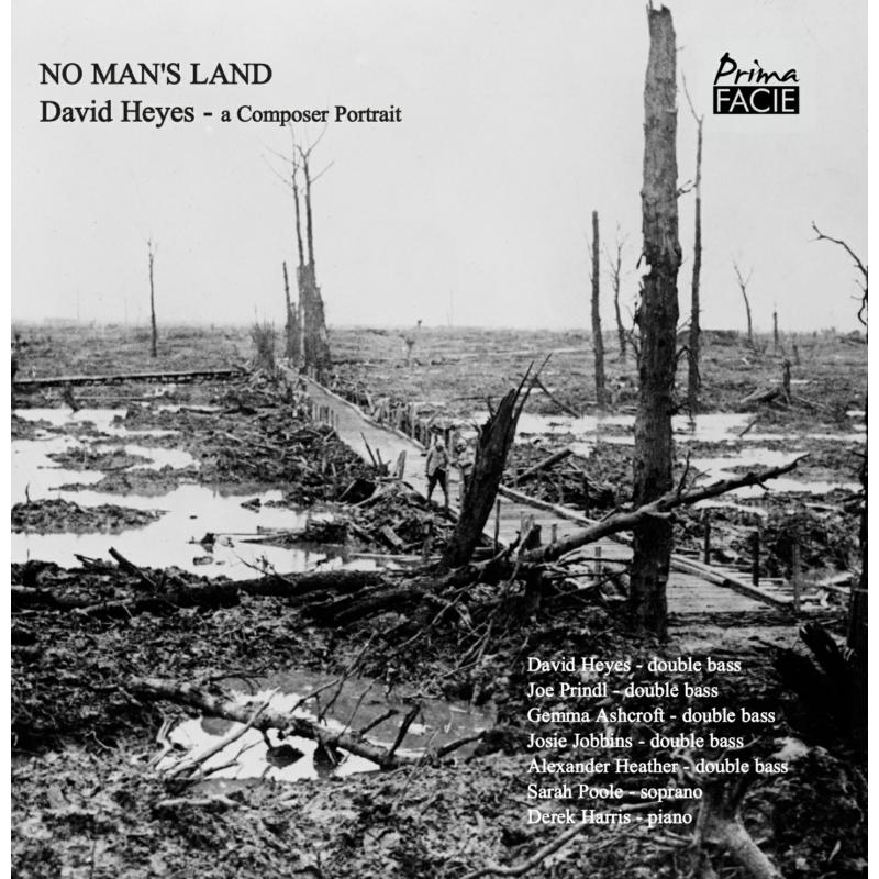 Picture of David Heyes - No Mans Land