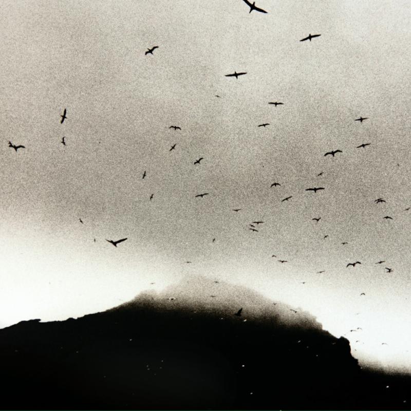 Picture of Kris Drever - If Wishes Were Horses