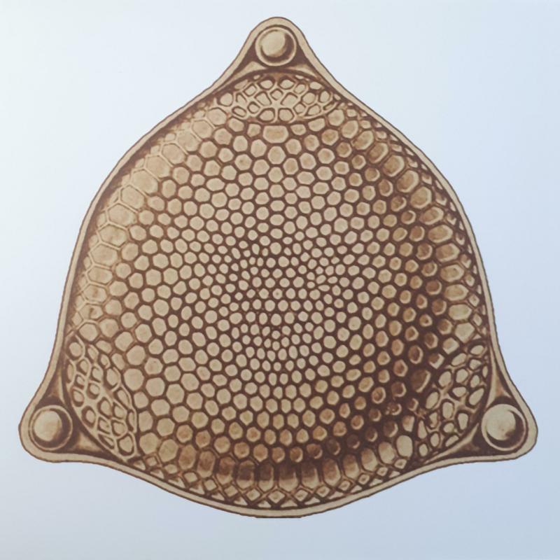 Picture of Zion Train - Remix Ep