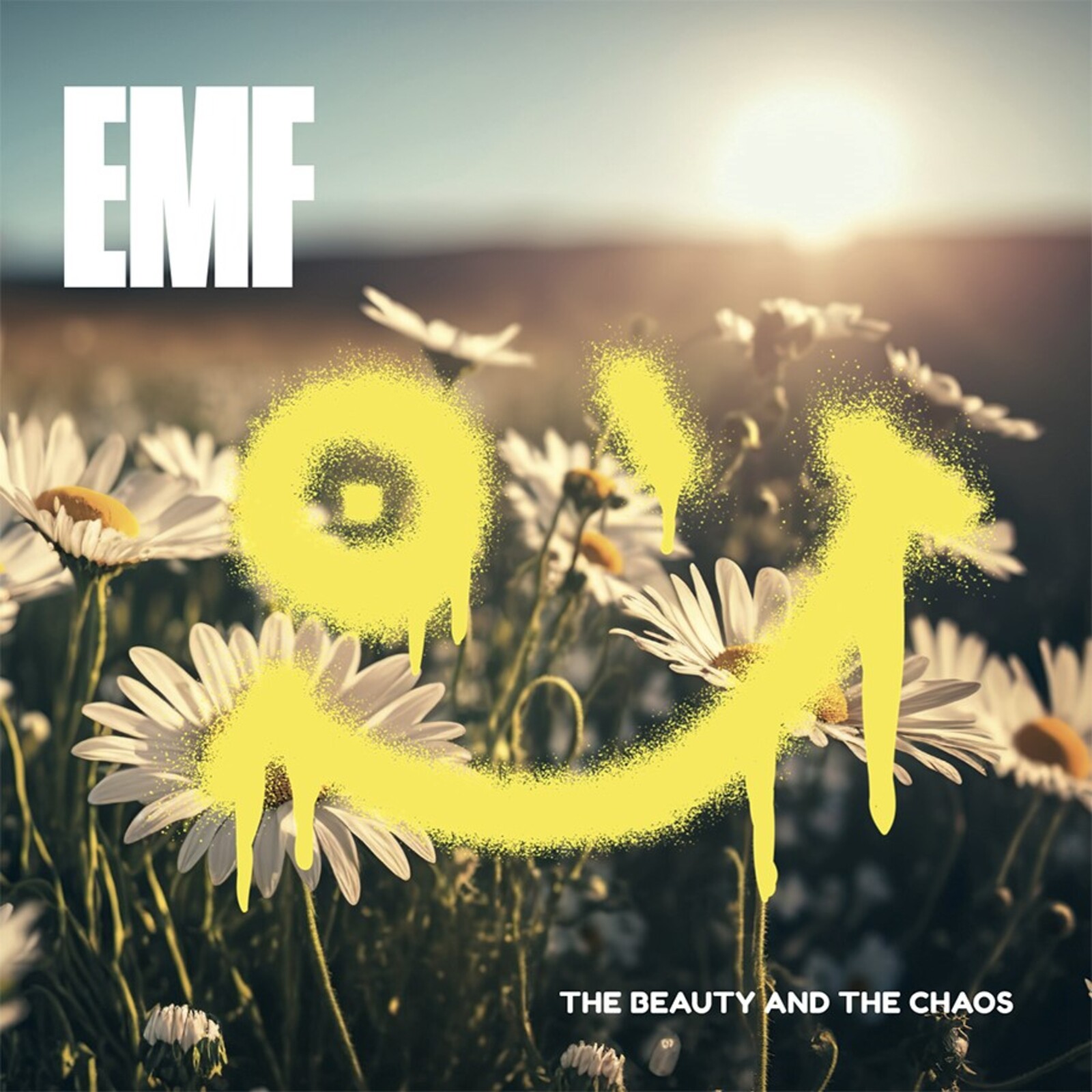 Picture of EMF - The Beauty and The Chaos