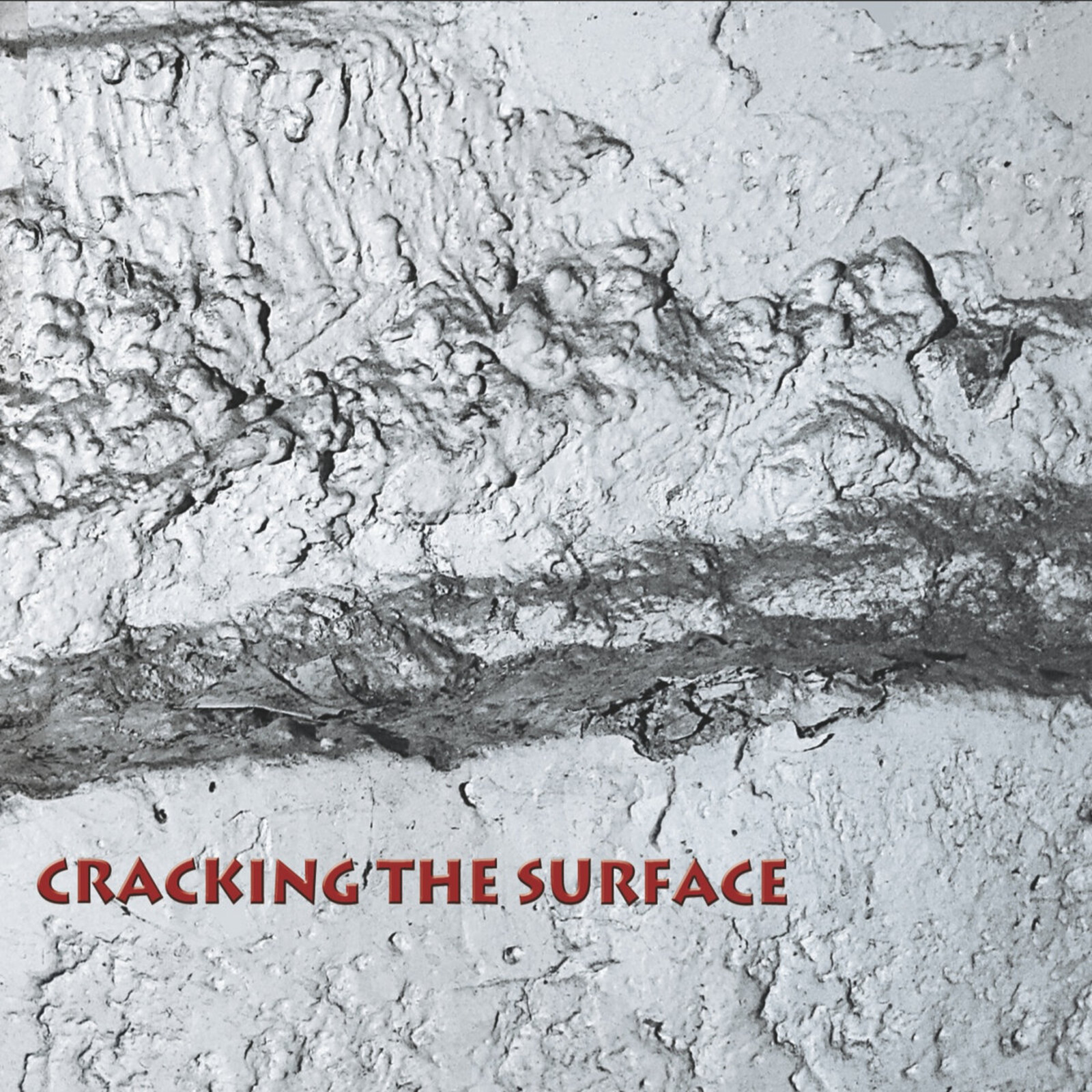 Picture of Thomas Dimuzio, Tom Nunn, Scott R Looney, & David Michalak. - Cracking The Surface